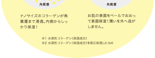 ナノサイズのコラーゲンが角質層まで浸透。内側からしっかり保湿！