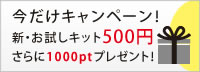 今だけキャンペーン！新・お試しキット500円 さらに1000ptプレゼント