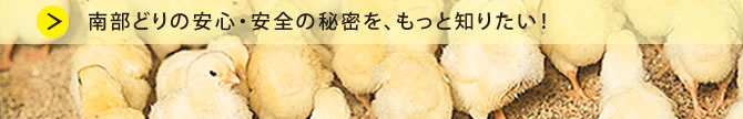 南部どりの安心・安全の秘密を、もっと知りたい！