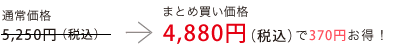 通常価格5,250円（税込）のところ、まとめ買い価格　4,880円（税込）で370円お得！