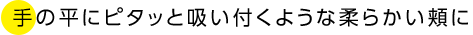 手の平にピタッと吸い付くような柔らかい頬に!