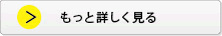 もっと詳しく見る