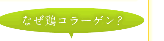 なぜ鶏コラーゲン？
