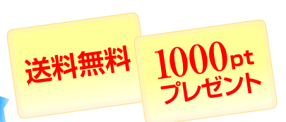 送料無料　1000ptプレゼント