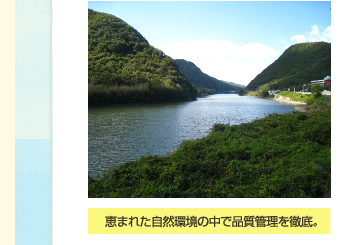 恵まれた自然環境の中で品質管理を徹底。