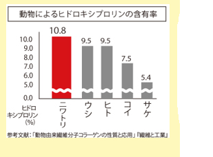 粉末状の鶏コラーゲンの画像、「この黄色が自然なままの証」