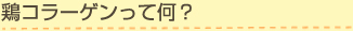 鶏コラーゲンって何？