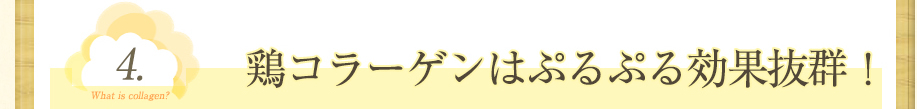 鶏コラーゲンの何がすごいの？