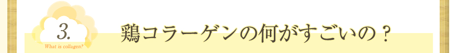 鶏コラーゲンの何がすごいの？