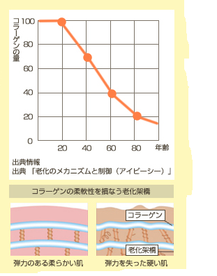 年齢とコラーゲンの量のグラフ、コラーゲンの柔軟性を損なう老化架橋