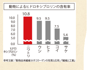 粉末状の鶏コラーゲンの画像、「この黄色が自然なままの証」