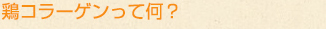 鶏コラーゲンって何？