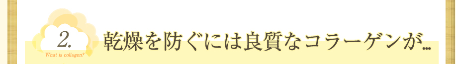 乾燥を防ぐには良質なコラーゲンが...