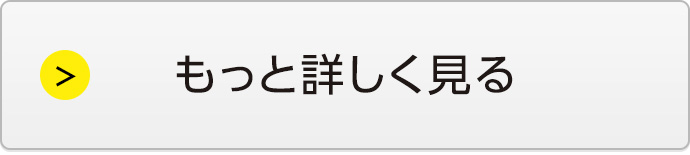 もっと詳しく見る