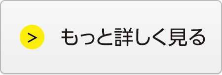 もっと詳しく見る